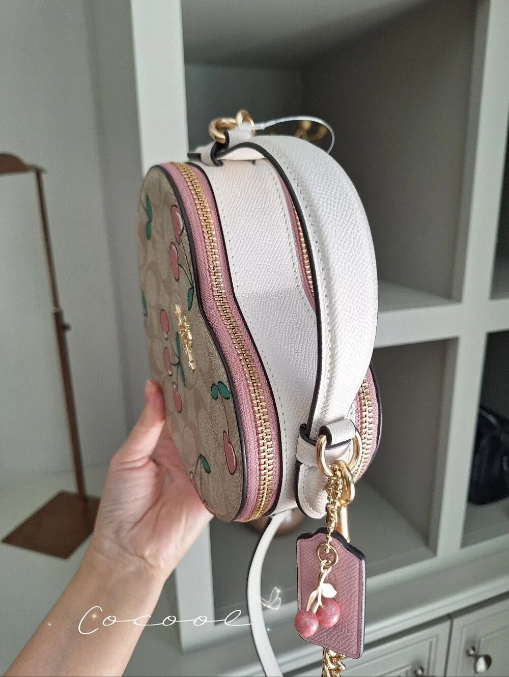 NEW COACH Heart Crossbody In Signature Canvas With Heart Cherry Print CE653